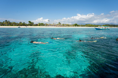 From Lombok: Gili Islands Private Snorkeling & Turtle Tour Private snorkeling with Roundtrip Hotel Transfer from Kuta