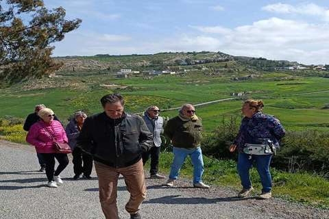 Beja : Spécial Produits du Terroire