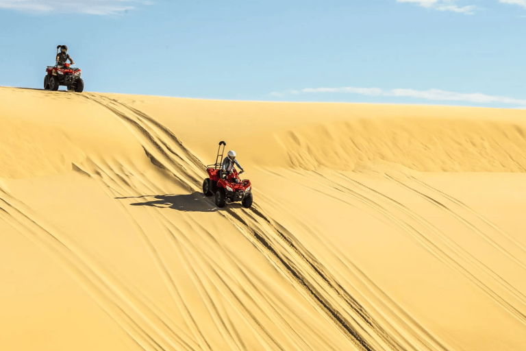 Sydney: Port Stephens Private Day Tour