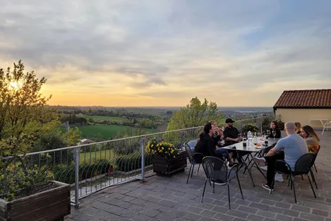 Desde Bolonia: tour de cata de vinos y viñedos