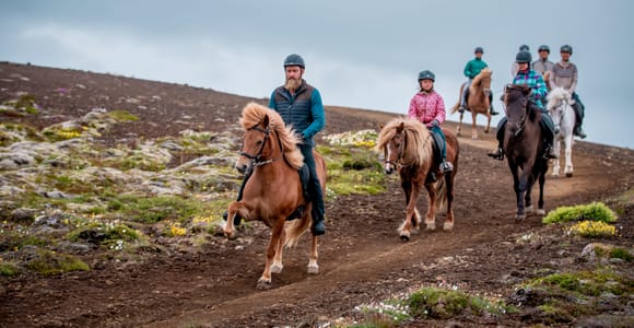 Reykjavik: Small-Group Mjölnir Afternoon Horse Riding Tour