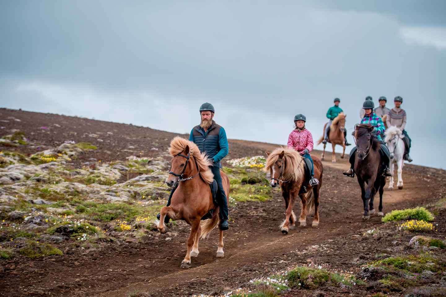 Reykjavik: Tour di Equitazione pomeridiano in Piccolo Gruppo