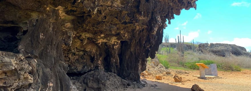 Visite des inscriptions indiennes avec un guide local