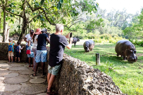 Tour della città di Mombasa di un giorno intero