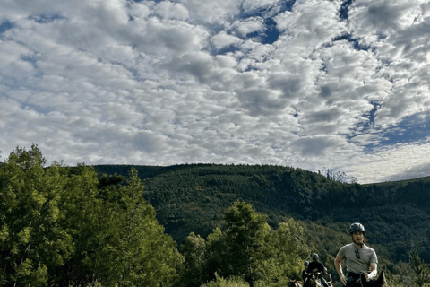 Franschhoek: Tour di un giorno a cavallo e degustazione di vini