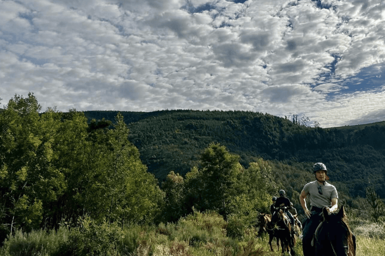 Franschhoek: Heldagstur med ridning och vinprovning