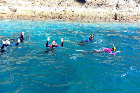 Insel Terceira: Ilhéu das Cabras Bootstour + SchnorchelnVon der Ilha Terceira: Ilhéu das Cabras Schnorchel Bootstour