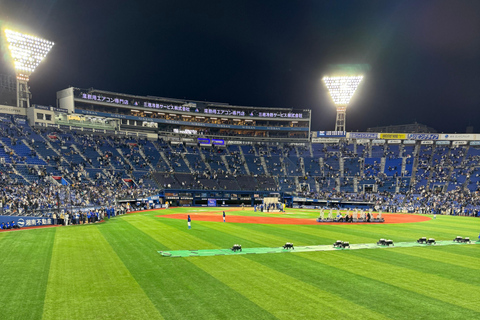 Japan Baseball Admission Ticket (Tokyo Stadiums)
