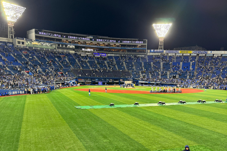 Japan Baseball Admission Ticket (Tokyo Stadiums)