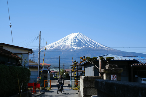 From Tokyo: Mount Fuji Full-Day Customizable & Private Tour Luxury MiniVan (1 upto 6)