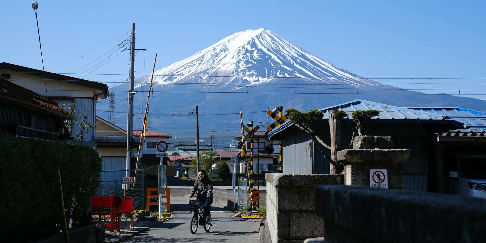 Hakone Shrine torii gate on Lake Ashi — private Mt. Fuji and Hakone day tour
