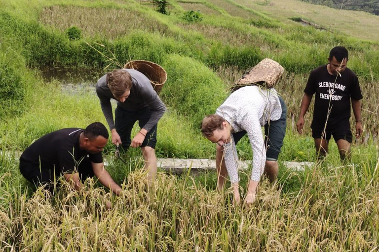 Yogyakarta : 24-Hour Local Life Experience in Yogya Village