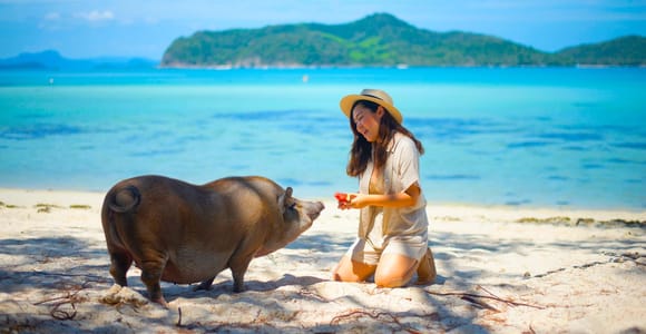 Koh Samui: Private Longtail Boat to Pig Island with Snorkel