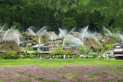 Vanuit Osaka: Ine Bay, Amanohashidate, Miyama Village 1-daagse tourVanuit Osaka: Ine Bay, Amanohashidate, Miyama Village dagtour