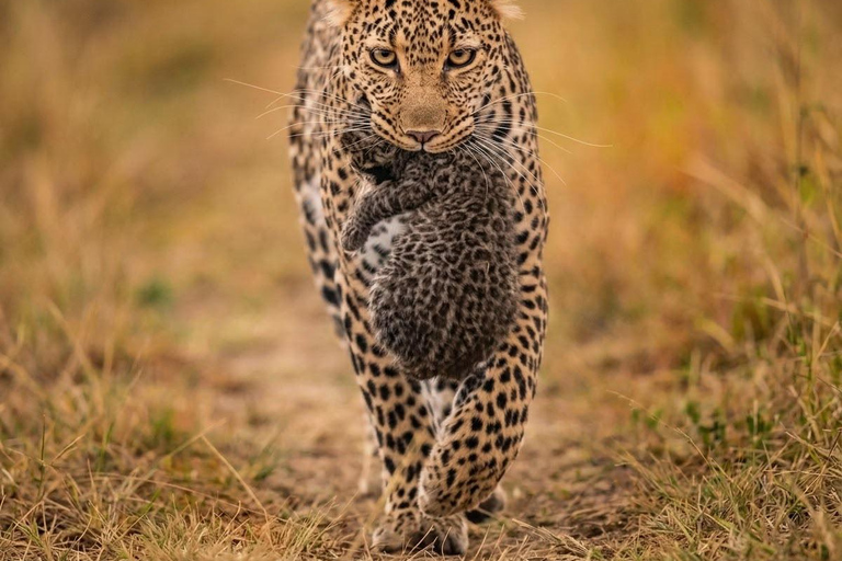Yala National park Entry eTicket