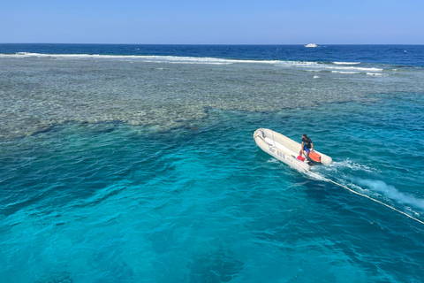 Marsa Alam: Sunset Snorkeling Trip with Turtles & Dugong