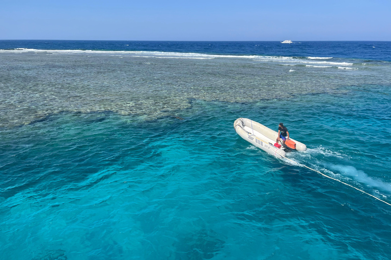 Marsa Alam: Sunset Snorkeling Trip with Turtles & Dugong