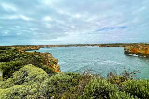 Melbourne: Great Ocean Road Discovery Day Tour