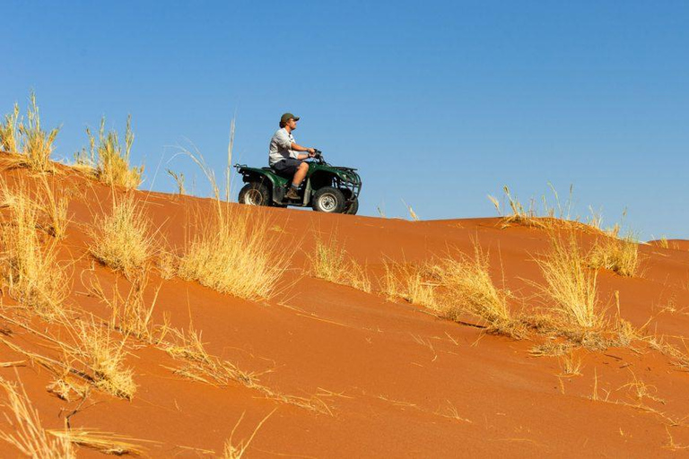 From Windhoek: 6-Day Namibia Safari with Lodging & Meals