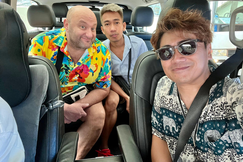 Hong Kong: Private City Highlights Tour with Car 4 hours Hong Kong Highlights with Private Guide and Car