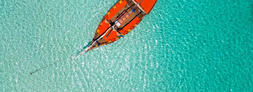 Mnemba : snorkeling, dauphins, barbecue et navigation