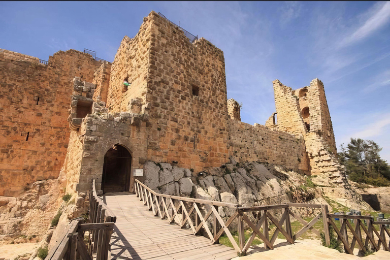 Amman: Jerash, Ajloun, Mar Elias or Umm Qais Day Trip Amman: Jerash, Ajloun Day Trip