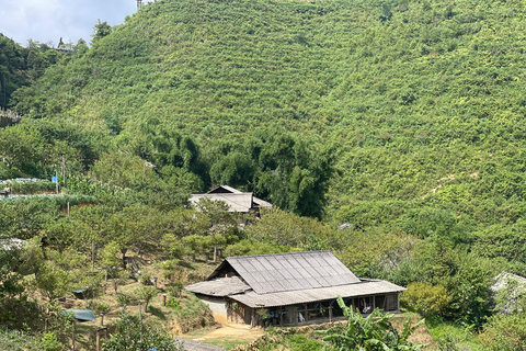 Red Dao Village Trek en kruidenbad