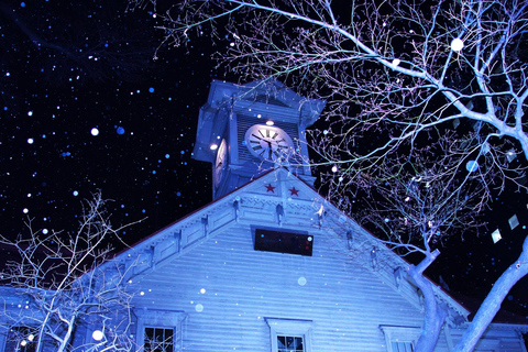 Sapporo: Illuminated Landmarks and TV Tower Night View Tour