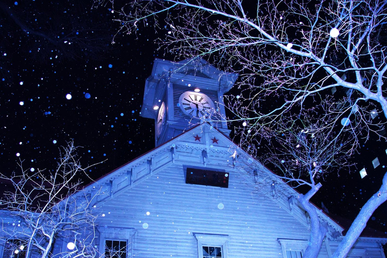 Sapporo: Illuminated Landmarks and TV Tower Night View Tour