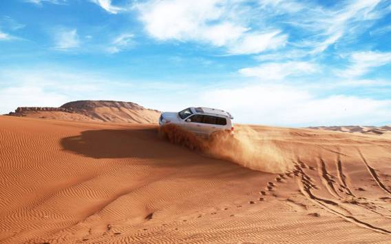 Von Dubai: 4-Stunden-Morgen Red Dunes Wüstensafari