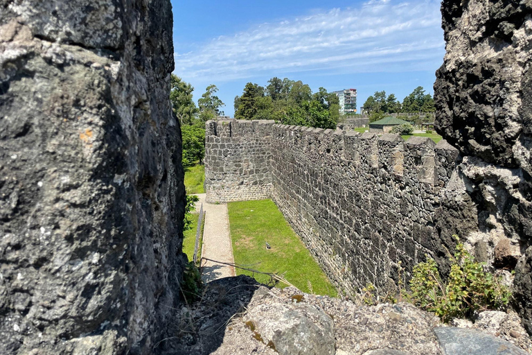Batumi: City Tour, Tea Plantation & Gonio Fortress Day Trip