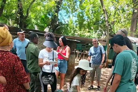 Mombasa: Half-Day Haller Park Giraffes Feeding Experience