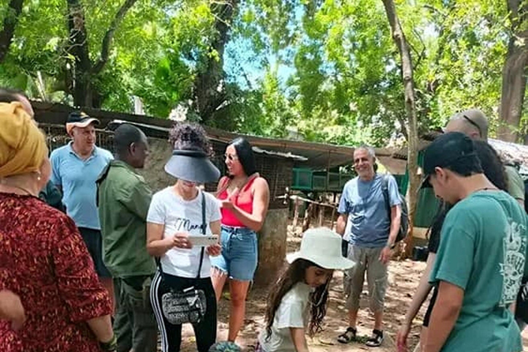 Mombasa: Half-Day Haller Park Giraffes Feeding Experience