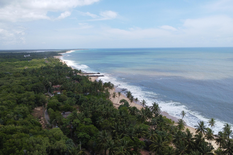 Colombo: Coastal Culture & Cinnamon Experience to Galle