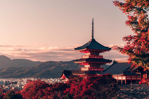 Kansai Intl. Airport KIX Private Transfer to/from Osaka Round-Trip Transfer: Kansai Airport/KIX -- Osaka