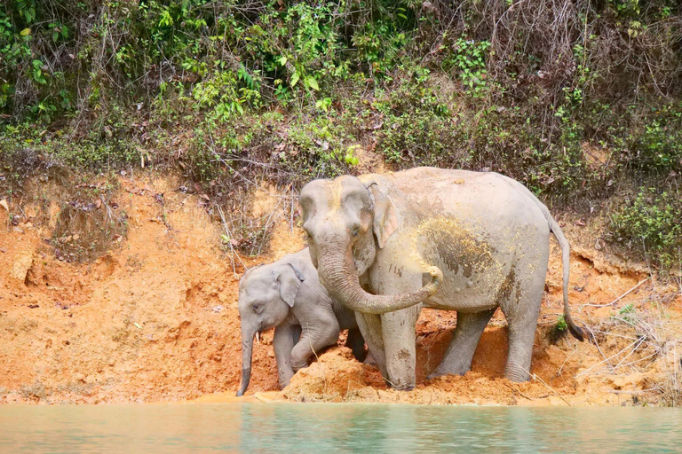 Khao Sok Lake Raft house, Temple & Wildlife Spotting w/Lunch