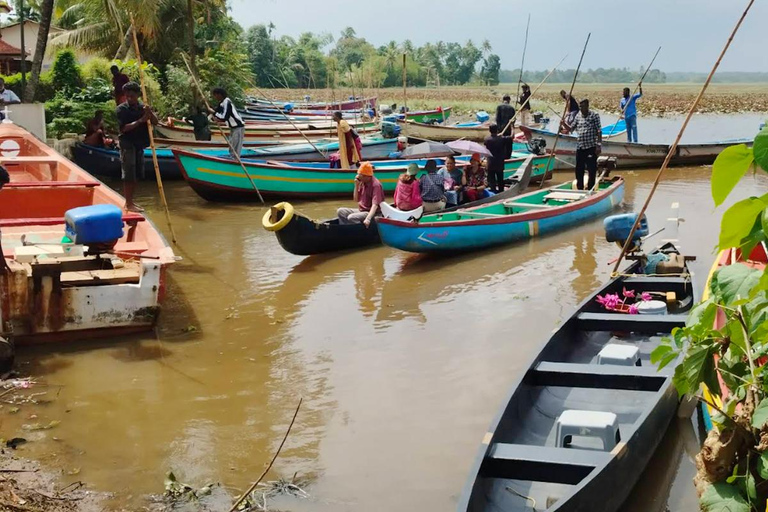 Excursion au point de vue de Malarikkal au départ de Cochin - Le joyau caché du KeralaVisite du point de vue de Malarikkal depuis Cochin, le joyau caché du Kerala