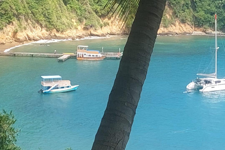 The Little Tobago Tour