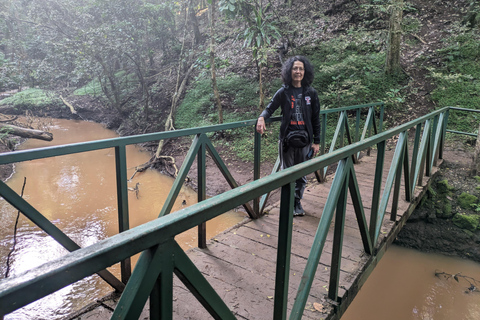 Karura Forest walking tour with nature and waterfalls.