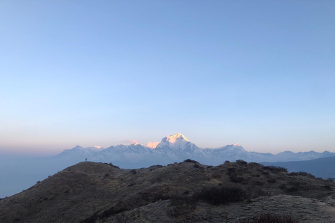 Au départ de Katmandou : 4 jours de trekking à Ghorepani Poon Hill