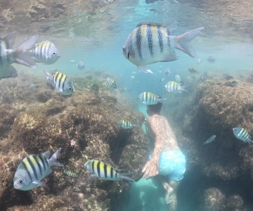 De Recife: Dia de praia em Porto de Galinhas com Jangada incl.
