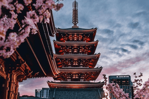 Tokyo Full Day Customizable Private Tour with English Guide