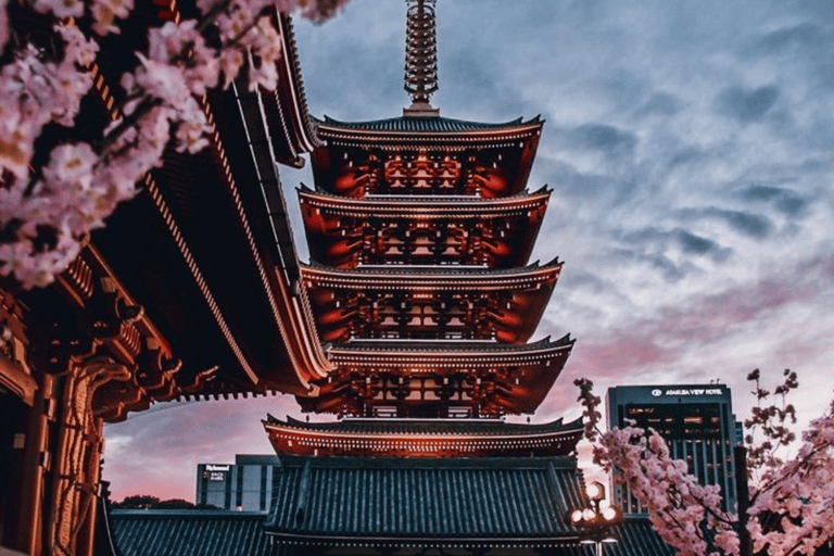 Tokyo Full Day Customizable Private Tour with English Guide