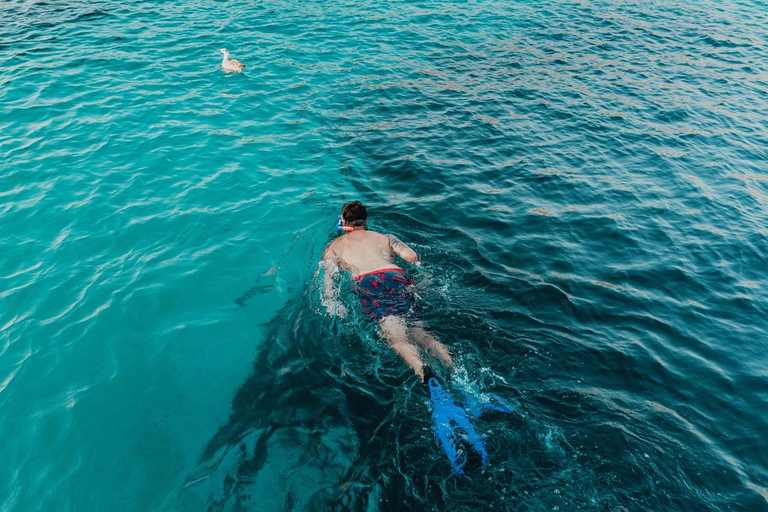 De Chania: Passeio de catamarã à tarde Jantar/bebidas e pôr do sol