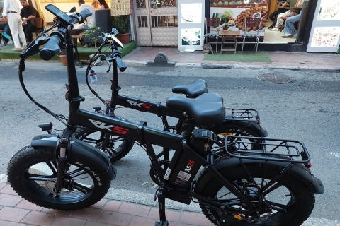 Wypożyczalnia rowerów elektrycznych w Stambule - rower elektryczny Electirick lub rower standardowy4-godzinna wypożyczalnia rowerów elektrycznych w Stambule Electirick lub rower standardowy