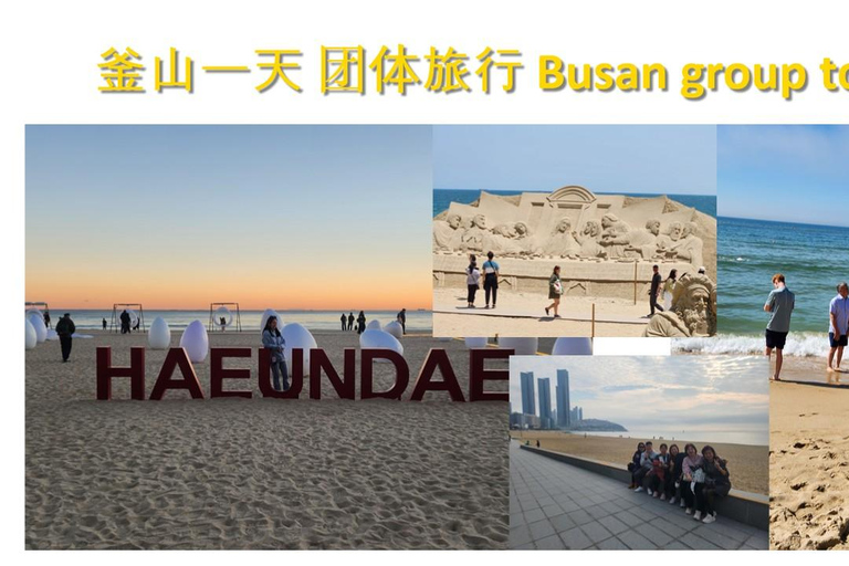 Busan: Kleingruppentour für Kreuzfahrtschiffpassagiere[kleine Gruppe] Englischsprachiger Reiseleiter