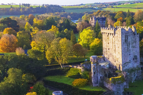 Morning Blarney Castle & Kinsale Half Day Tour from Cork