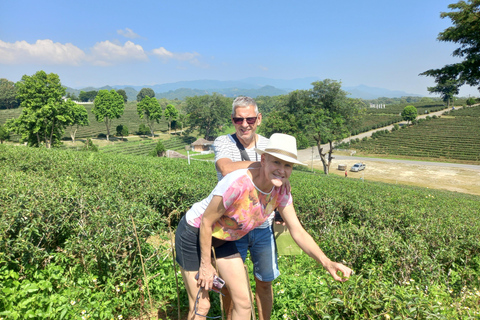 Chiang Rai: Northern Thailand Tour with Golden Triangle