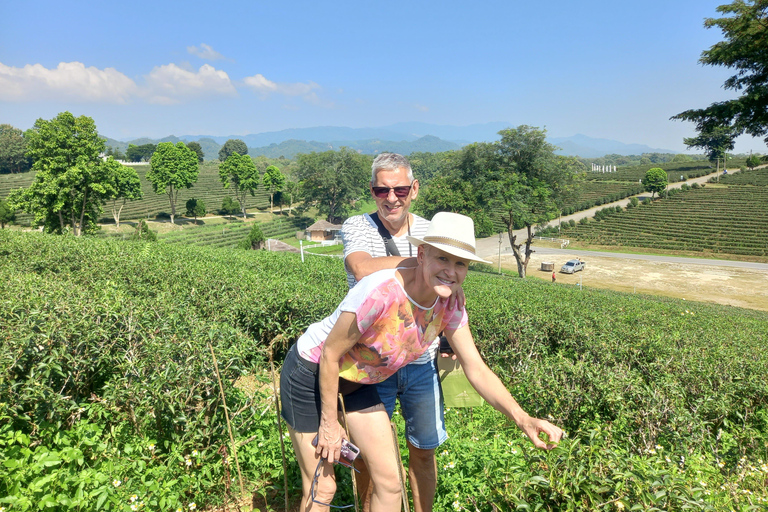 Chiang Rai: Northern Thailand Tour with Golden Triangle