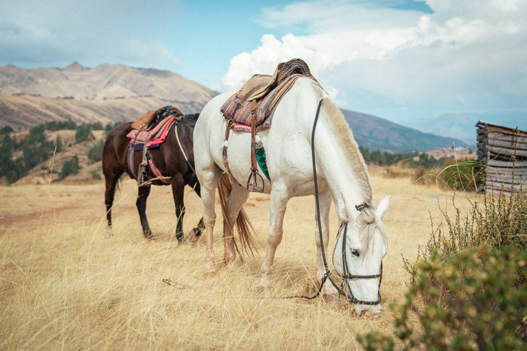 Cusco: Horseback Riding and Pachamama Ceremony Tour
